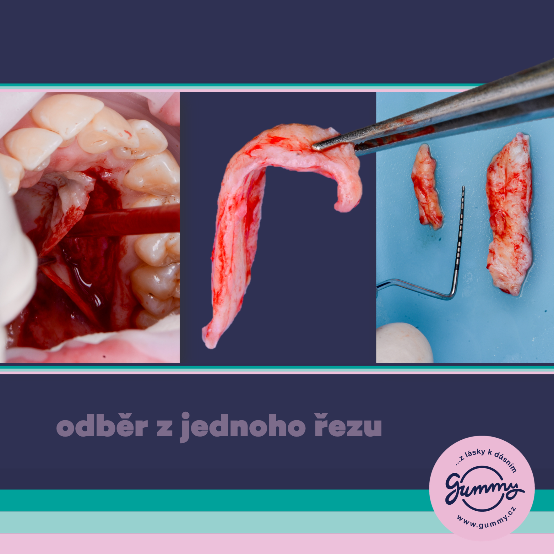 ŠTĚP IT 25.-26. 9. 2026 Jeseník